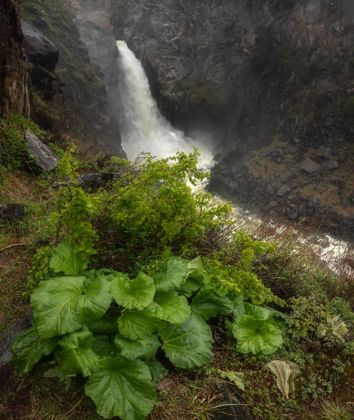 водопад, куркуре, горы, алтай, Марголин Алексей