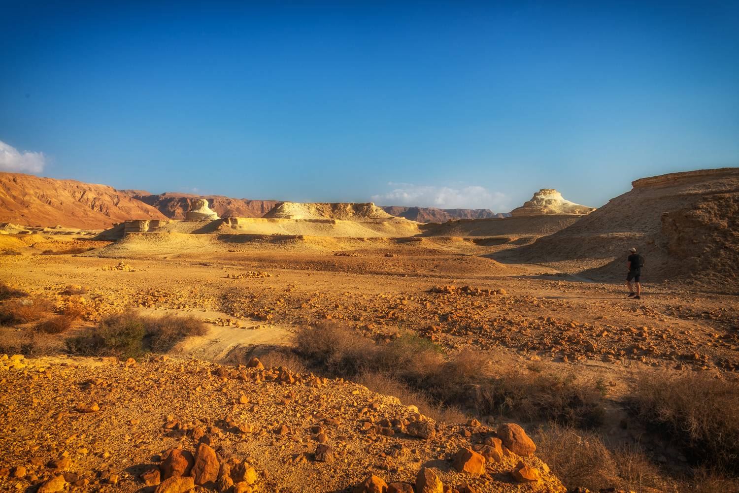 , Vladimir Bragilevsky