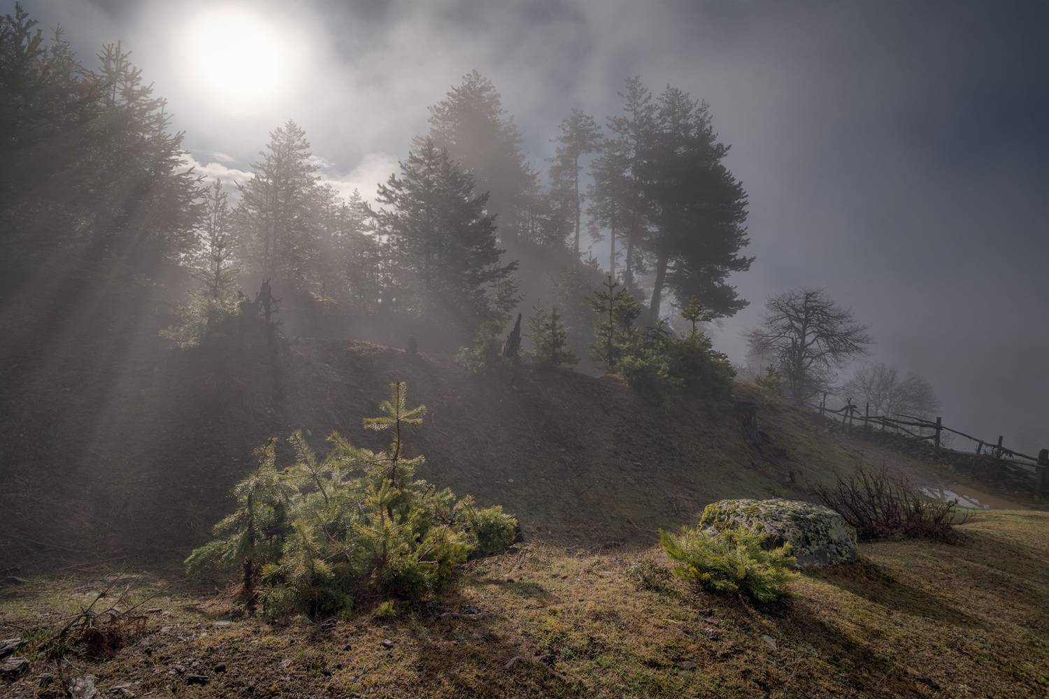 svaneti, tsvirmi, spring, clouds, forest, trees, mountains, fog, sky, nature, landscape, scenery, travel, outdoors, georgia, sakartvelo, chizh, Чиж Андрей
