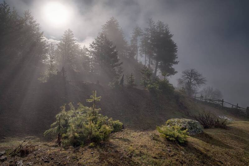 svaneti, tsvirmi, spring, clouds, forest, trees, mountains, fog, sky, nature, landscape, scenery, travel, outdoors, georgia, sakartvelo, chizh Forest In Clouds фото превью