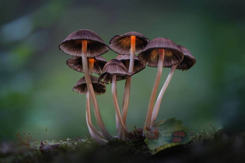 Associates 2 фото превью