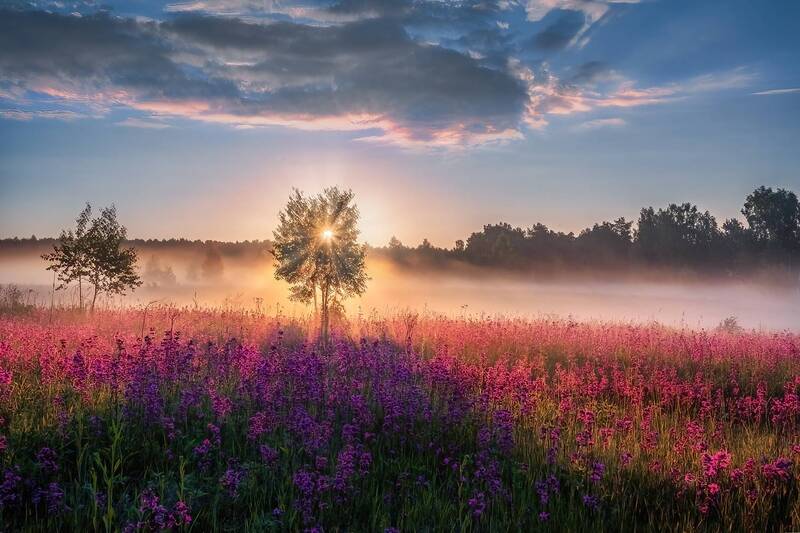 ** фото превью