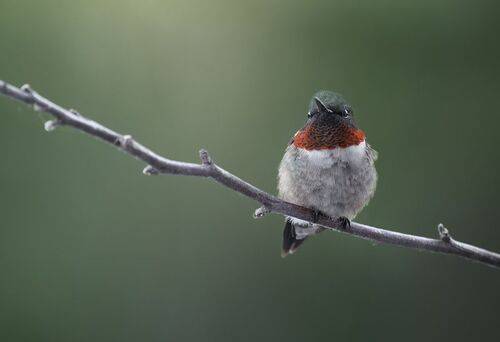 Stillness within