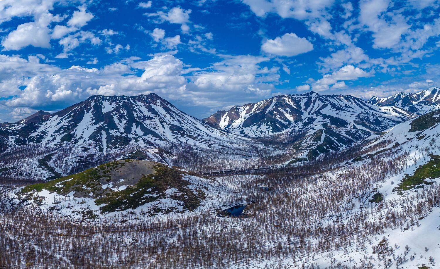 , Андрей Загребельный