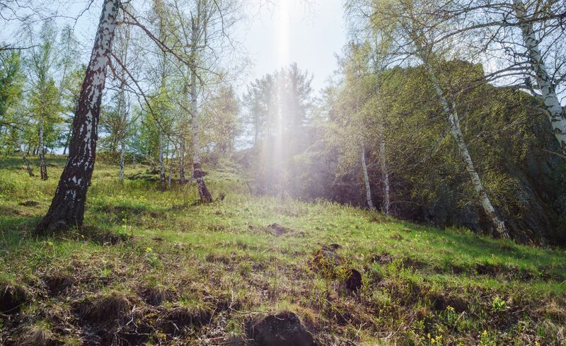светлый день мая фото превью