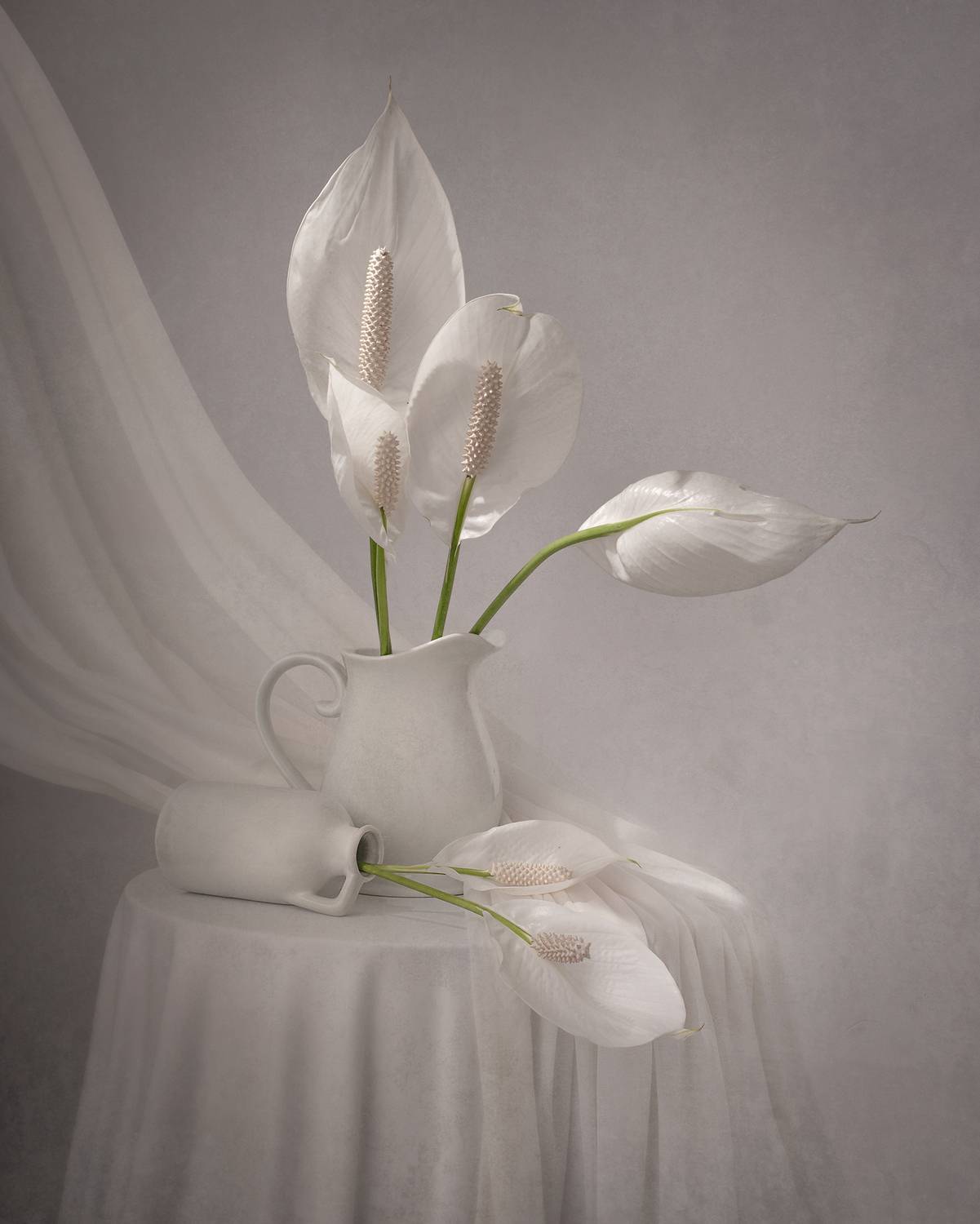 Still life, Lilies, light, texture, flowers, Maria Margareth Perfoncio
