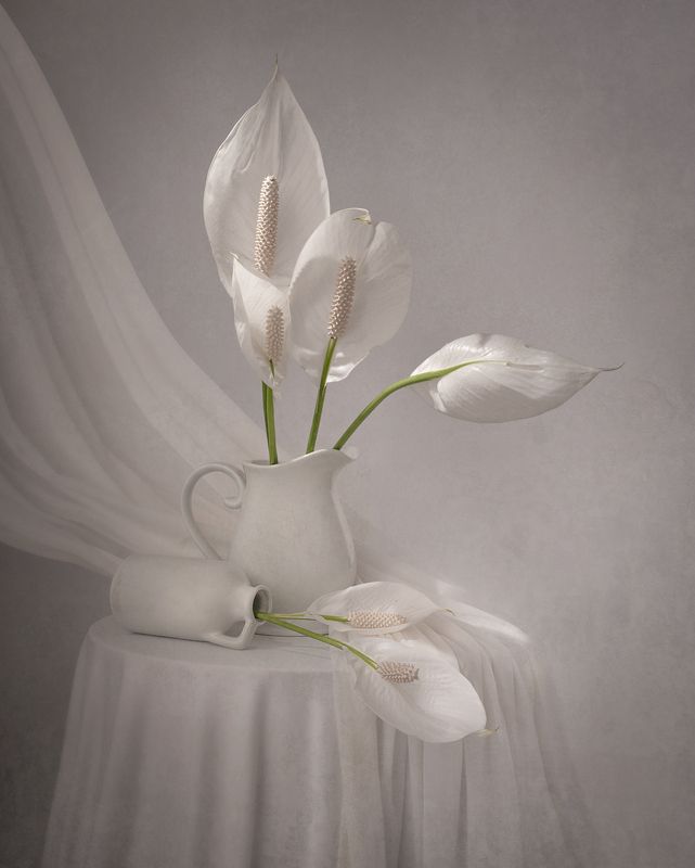 Still life, Lilies, light, texture, flowers Lilies фото превью