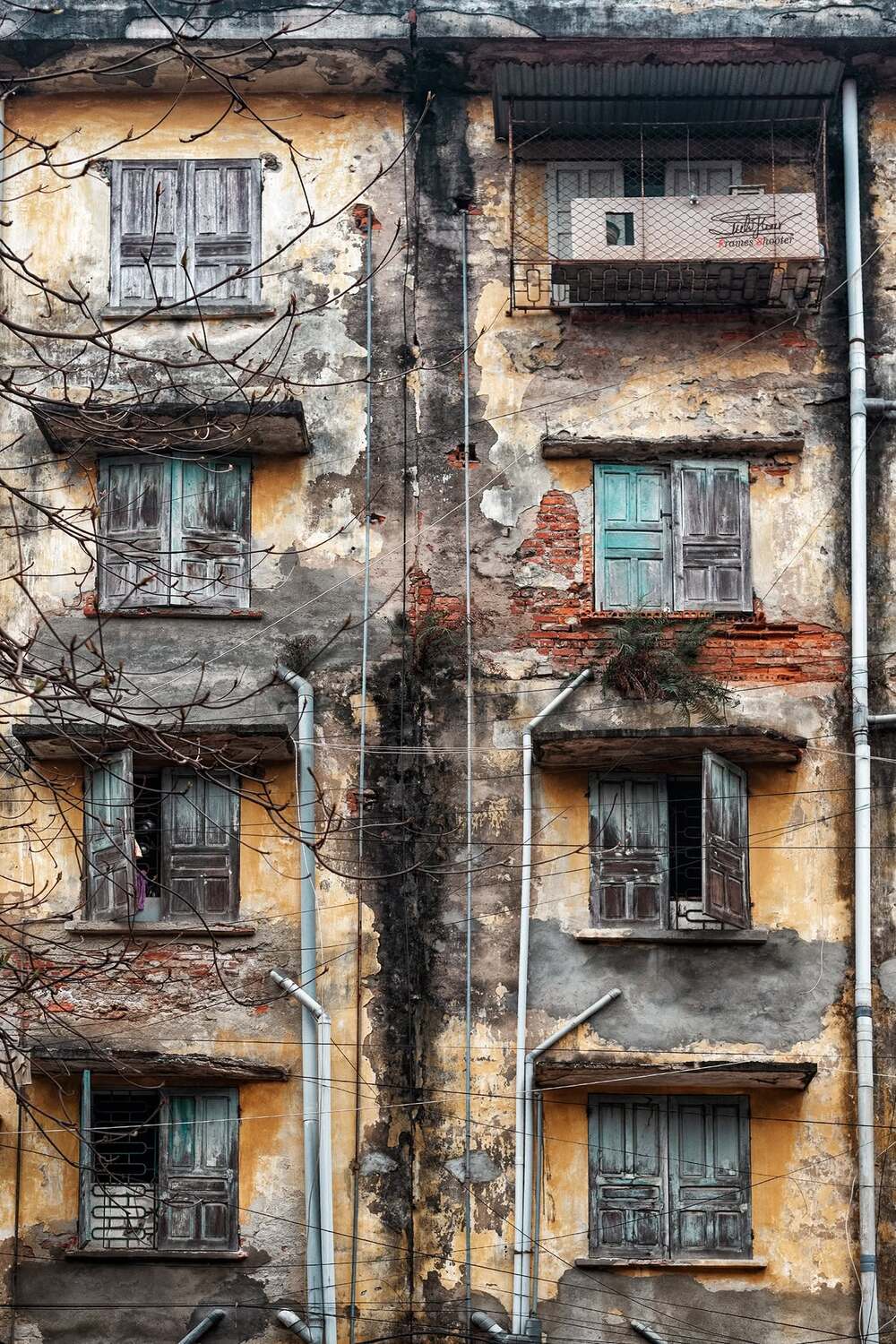 Автор: Mimic Nikon d750, 50mm f/1.8g, Mimic
