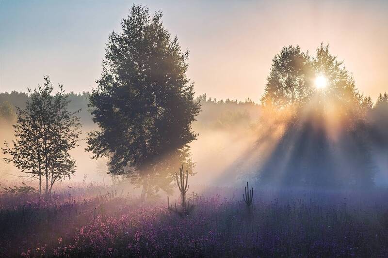 * фото превью