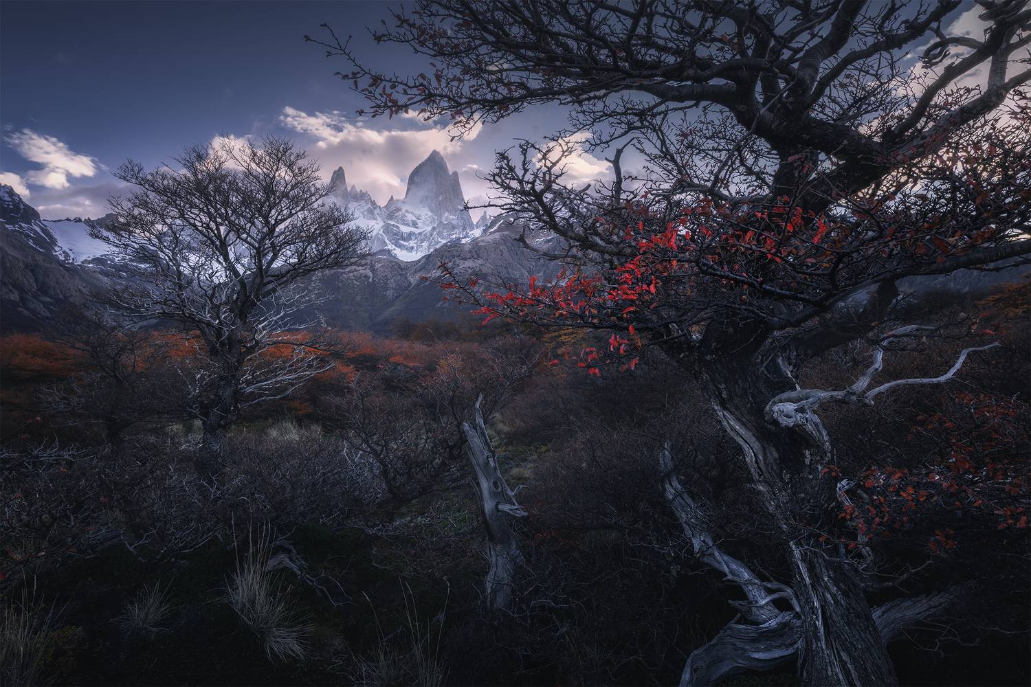 Patagonia, Argentina. Автор: Anna Politova , Anna Politova