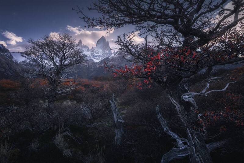 Patagonia, Argentina фото превью