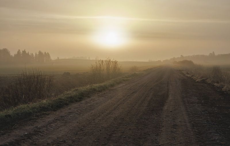 ceļš, saule, migla Rīts фото превью