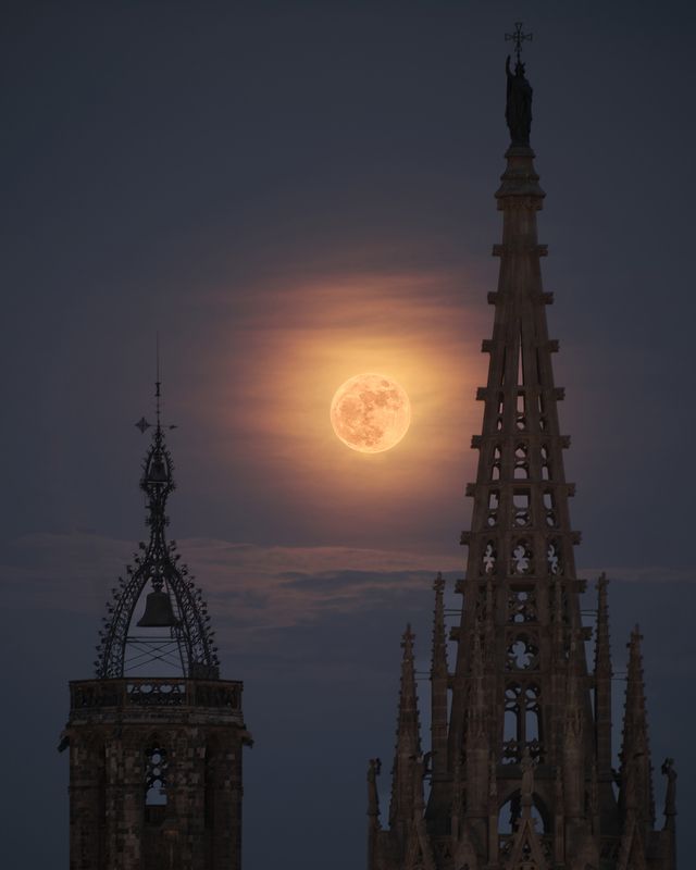 [full moon] фото превью
