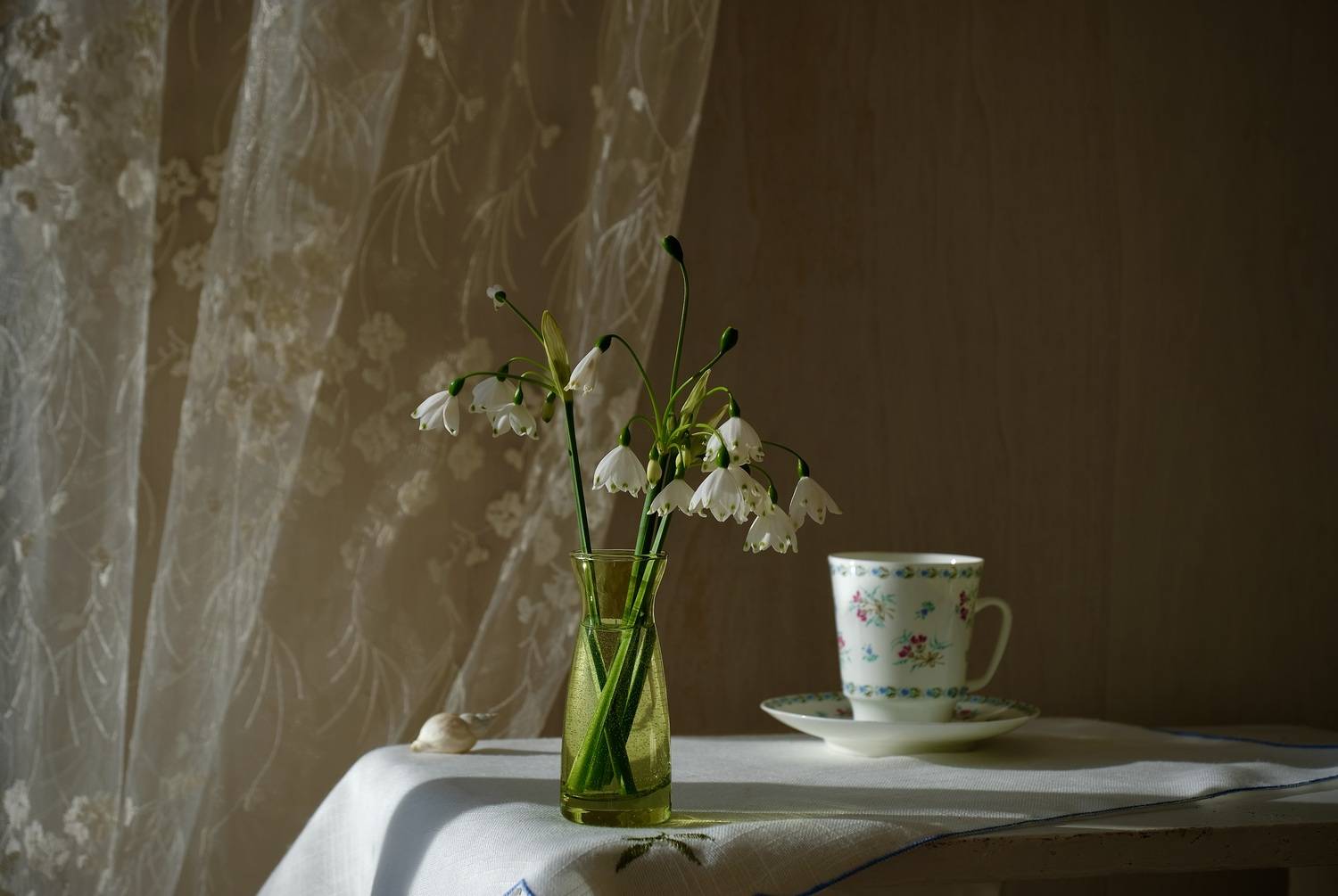 Still life, Flowers, Leucojum vernum, Light, White, Spring, Svetlana Povarova Ree