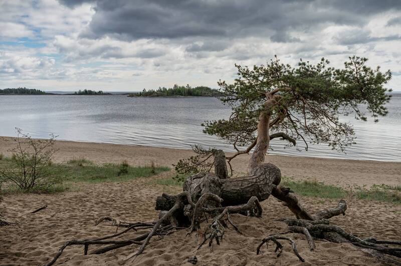 карелия., ладожские, шхеры., койонсаари.  фото превью