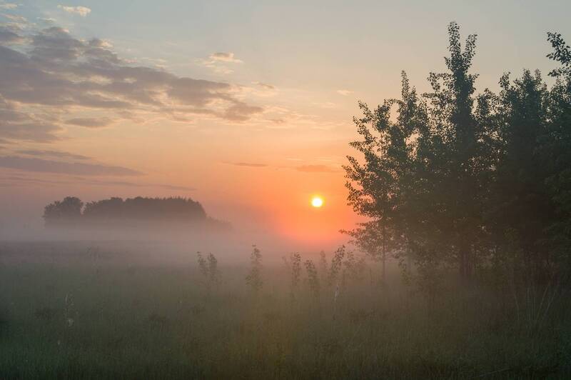 рассвет, лето, луга, туман  фото превью
