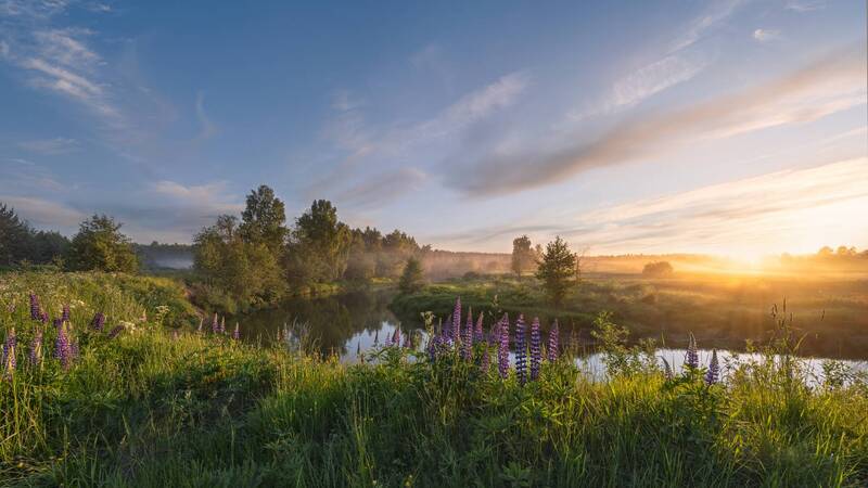 вечер, закат, река, берег, солнце, небо, облака, отражение летний вечер фото превью