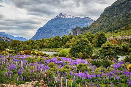 Carretera Austral -Chilie Patagonia