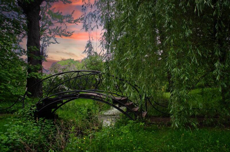 В ботаническом саду фото превью