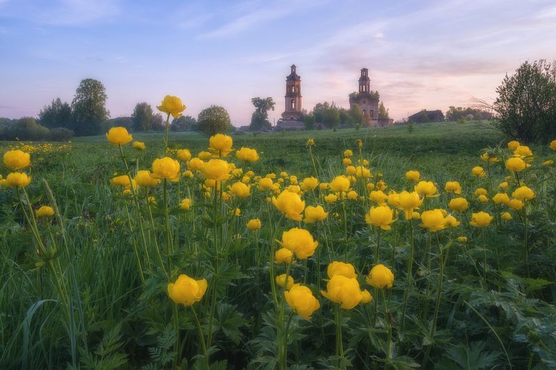 Купальница у заброшенного храма фото превью