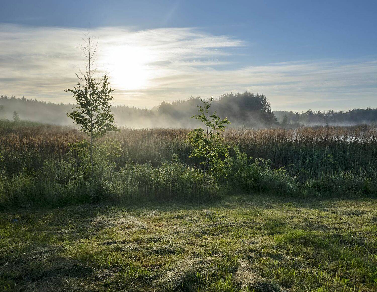 morning, mist, lake, Eugenijus Rauduve