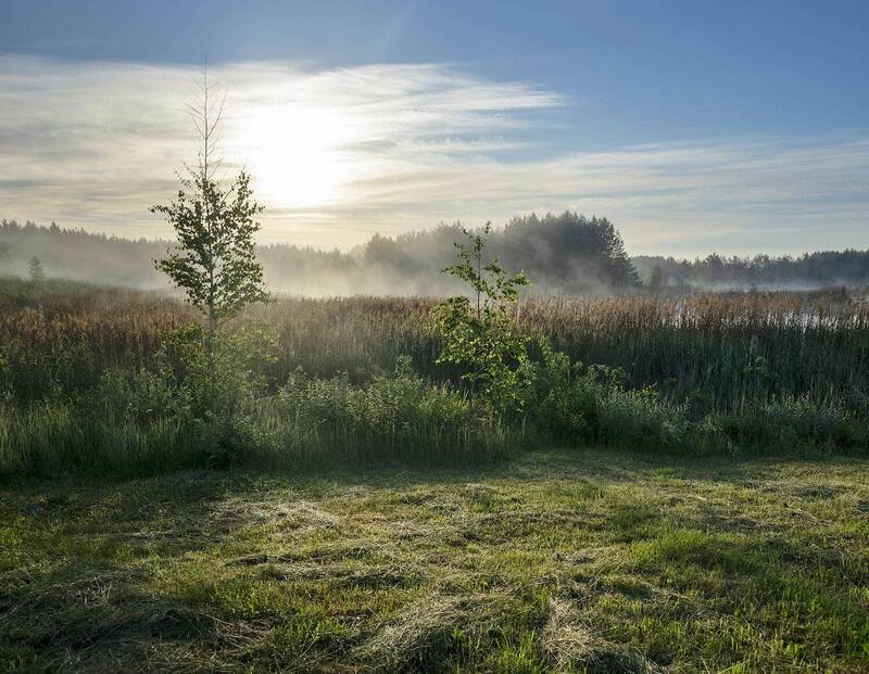 morning, mist, lake Morning фото превью