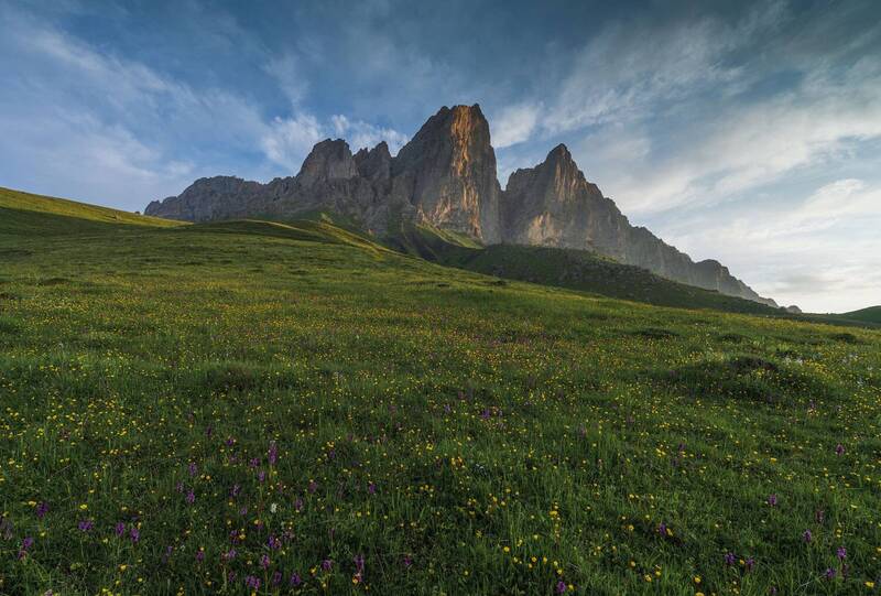 ингушетия, кавказ, горы Цветущий Гайкомд фото превью