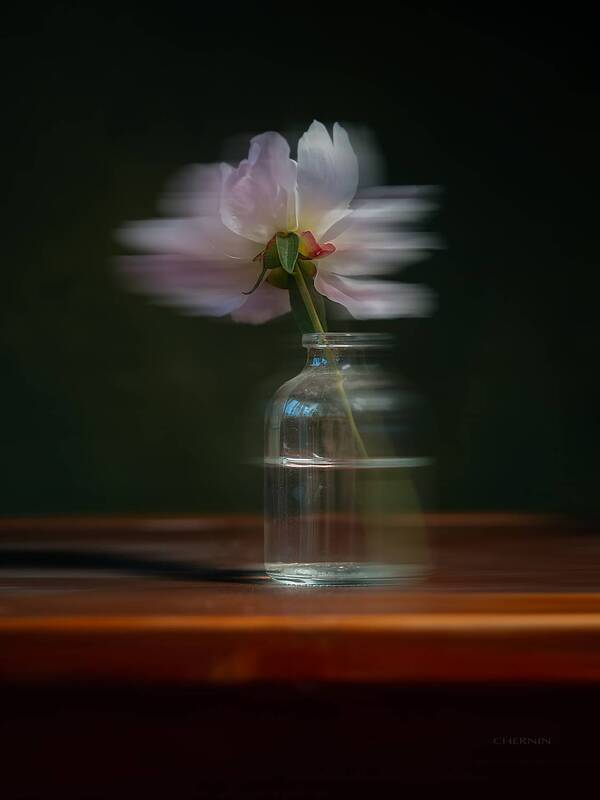 .... фото превью