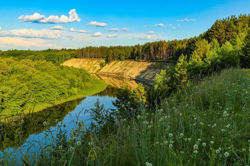хопер, природа, торасова гора Июнь на Тарасовой горе фото превью