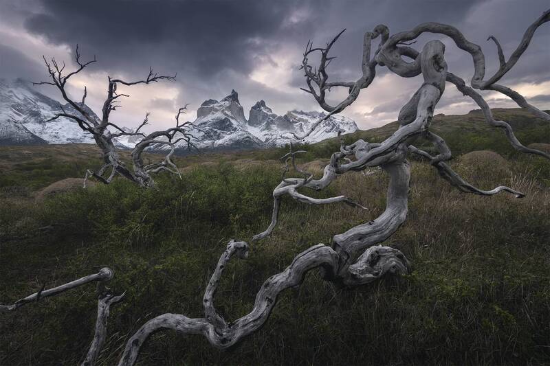 Torres del Paine, Chile фото превью