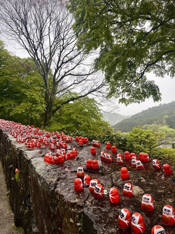 Katsuoji фото превью
