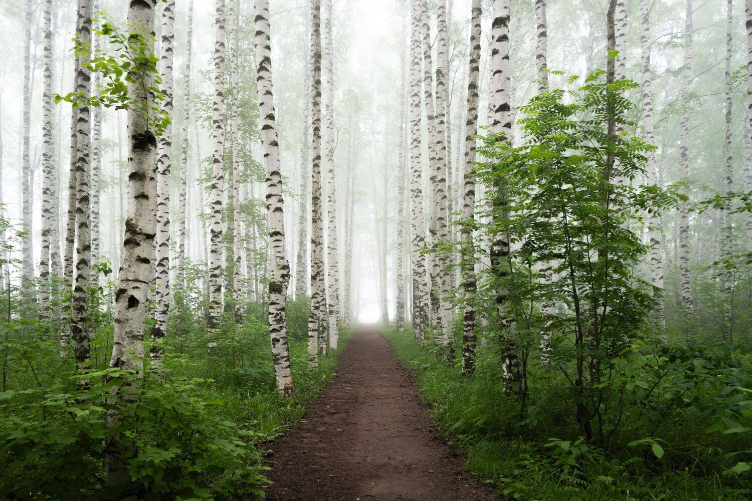 , Карепанов Евгений