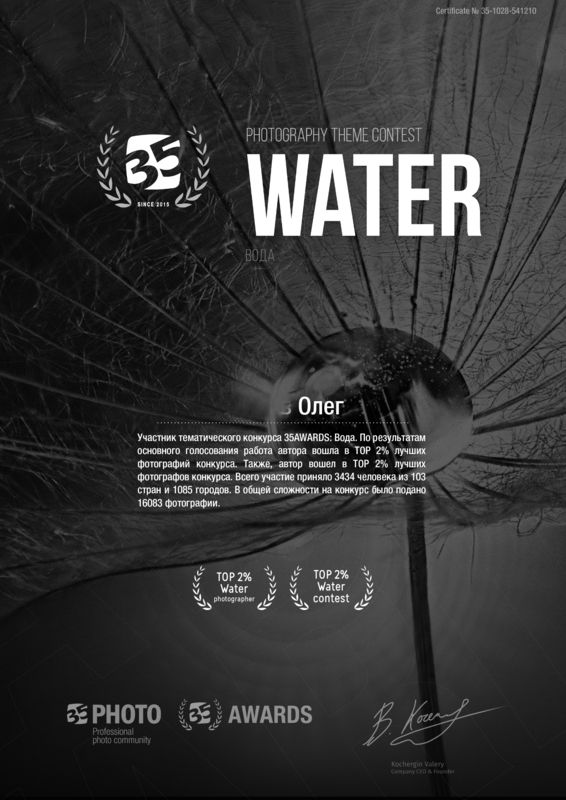 35, 35awards Хвастовство фото превью