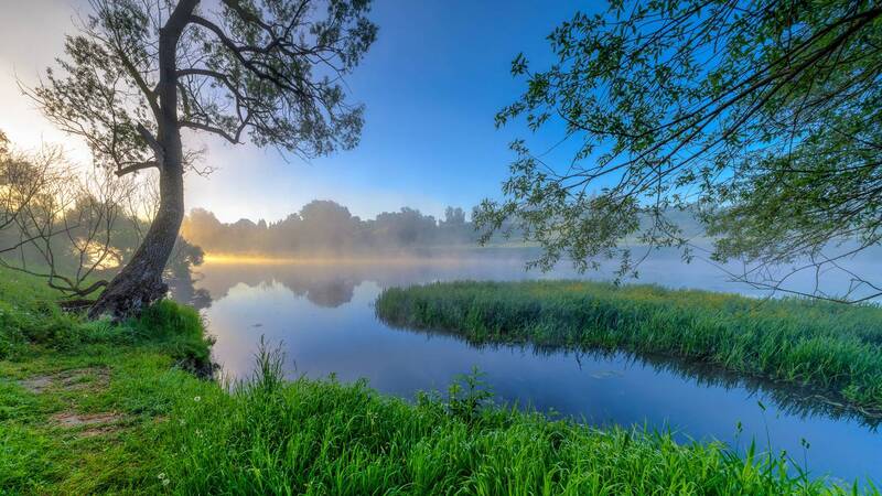 утро, рассвет, звенигород, июнь, лето Июньское утро! фото превью