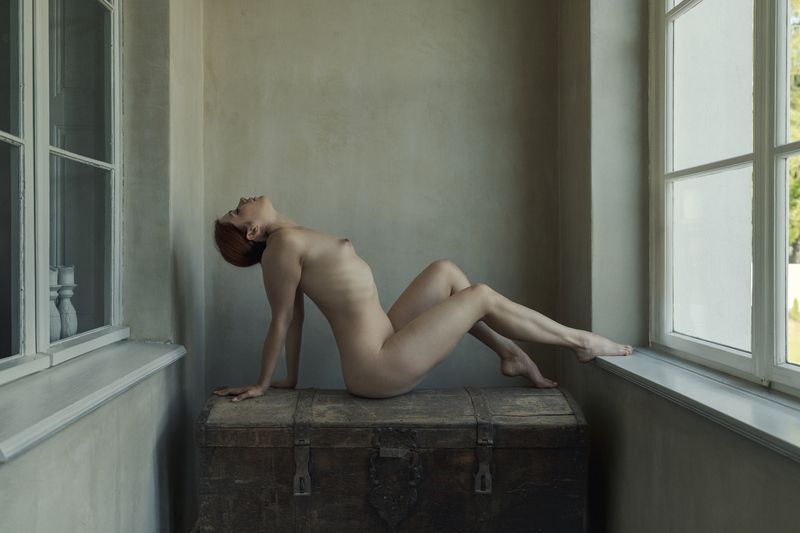anatomy study, held breath, fine art, female nude, figurative art, classical pose, soft chiaroscuro, arched back, quiet introspection, poetic sensuality, window light, muted palette, nude study, body architecture, natural light, tonal photography Anatomy of a Held Breath фото превью