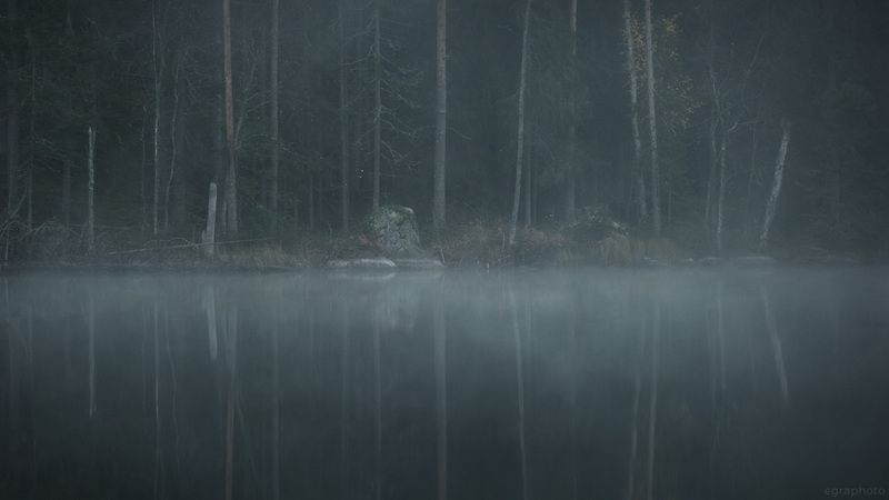 ленинградская область, карельский перешеек, хийси, россия Ленинградская область - выборгский лес Карельского перешейка фото превью