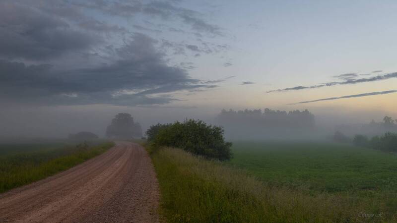 лето, июнь, туман, дорога, лес, кусты, деревья, дуб Июньский туман... фото превью