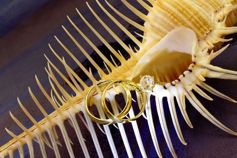 Wedding rings фото превью