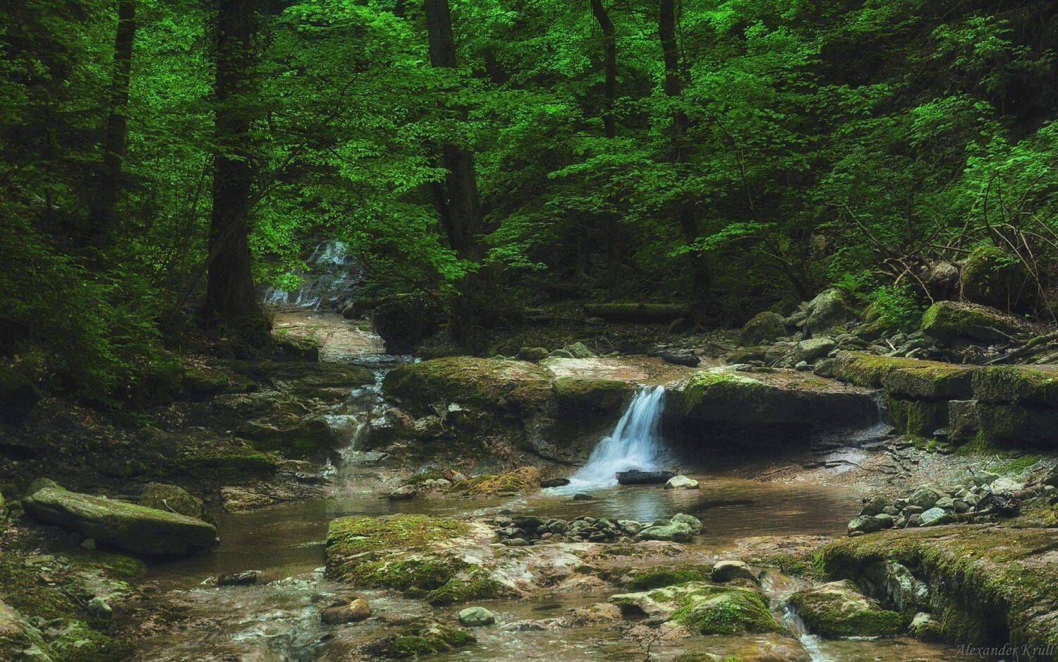 Лес, Ручей, Александр Круль