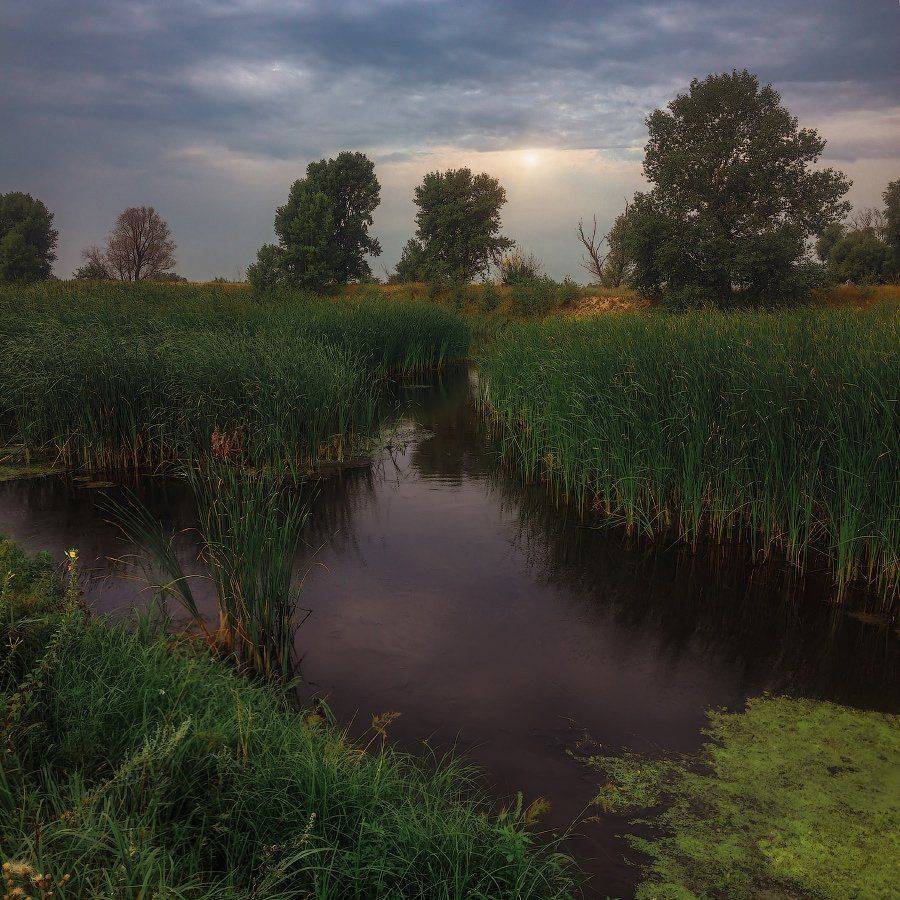 , Ярослав Тюрменко (Jaremi)