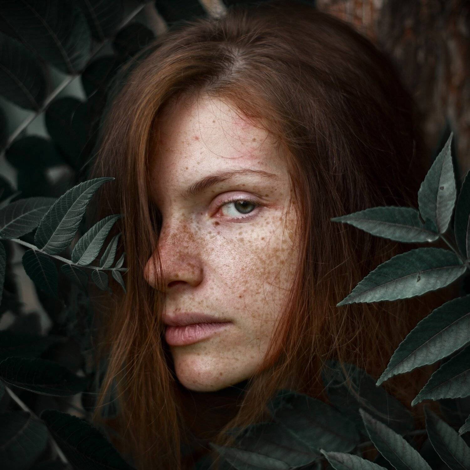 портрет, Дмитрий Александров