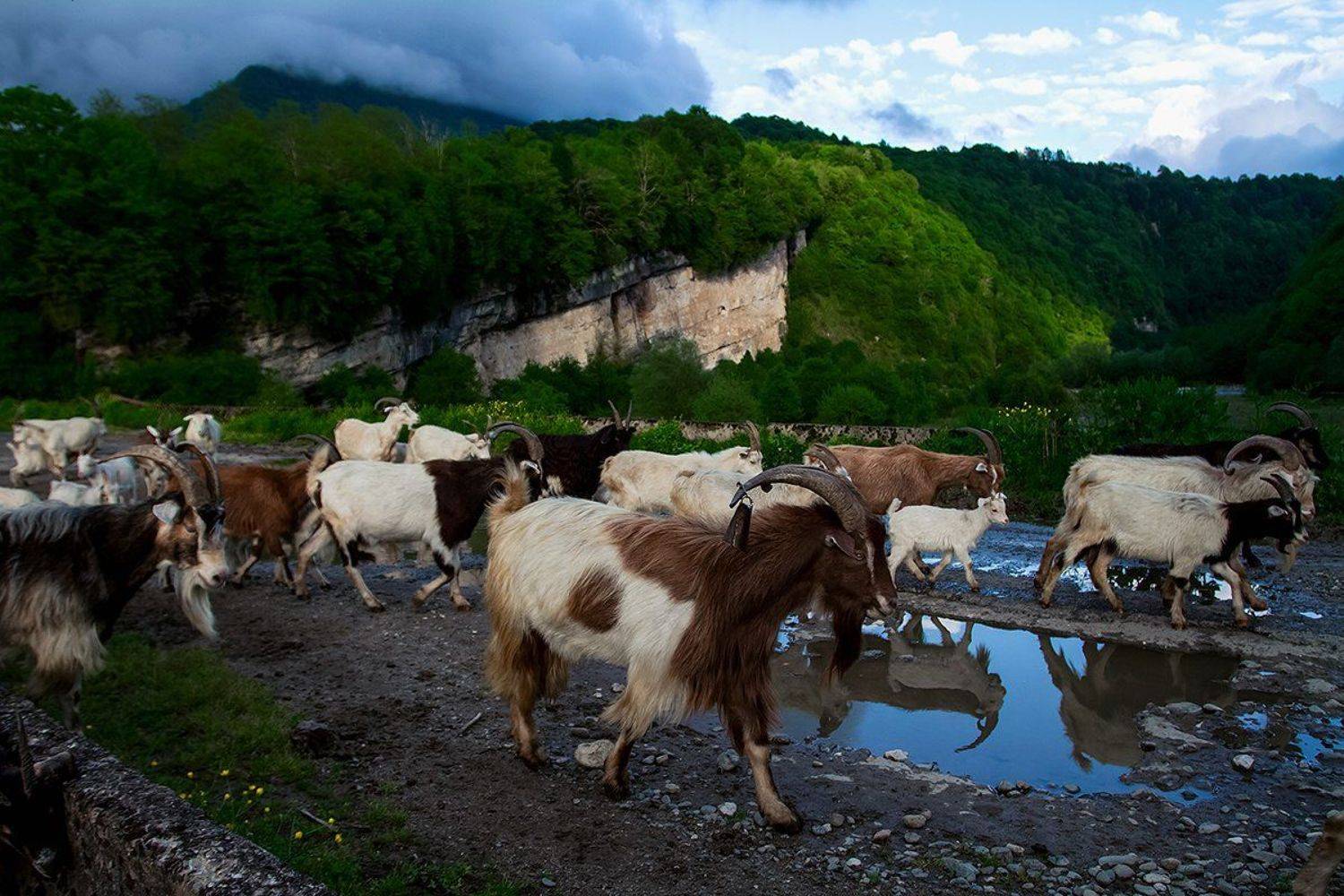 море абхазия горы небо пейзаж закат путешествия отдых , Анастасия Суховий