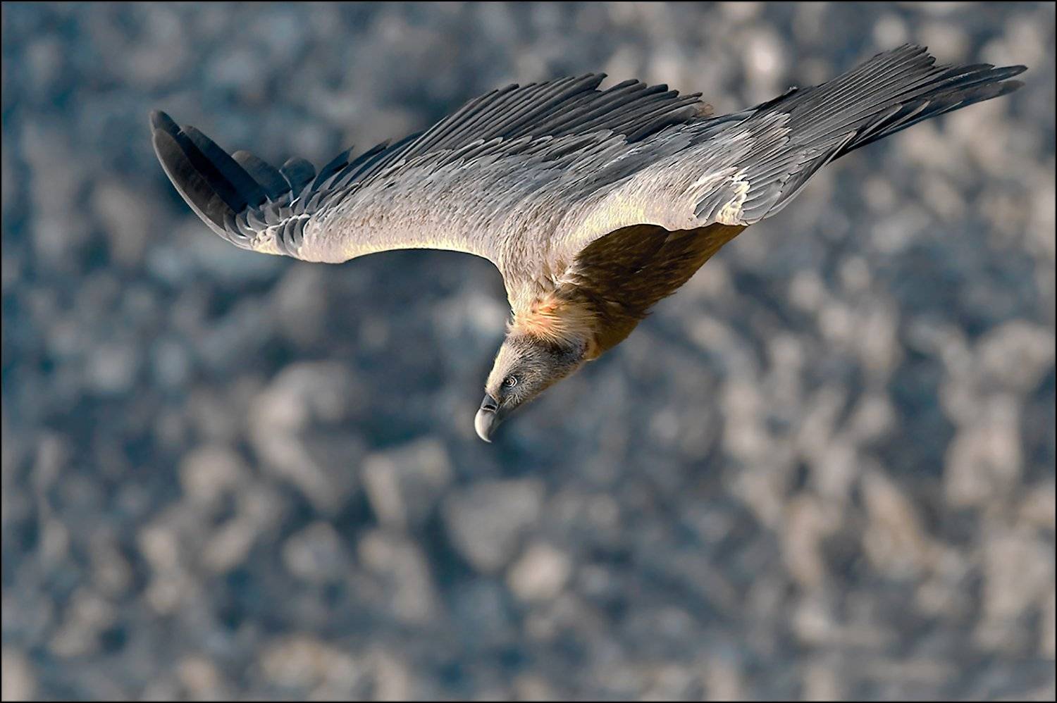 Кайф ..., ISRAEL LITVAK