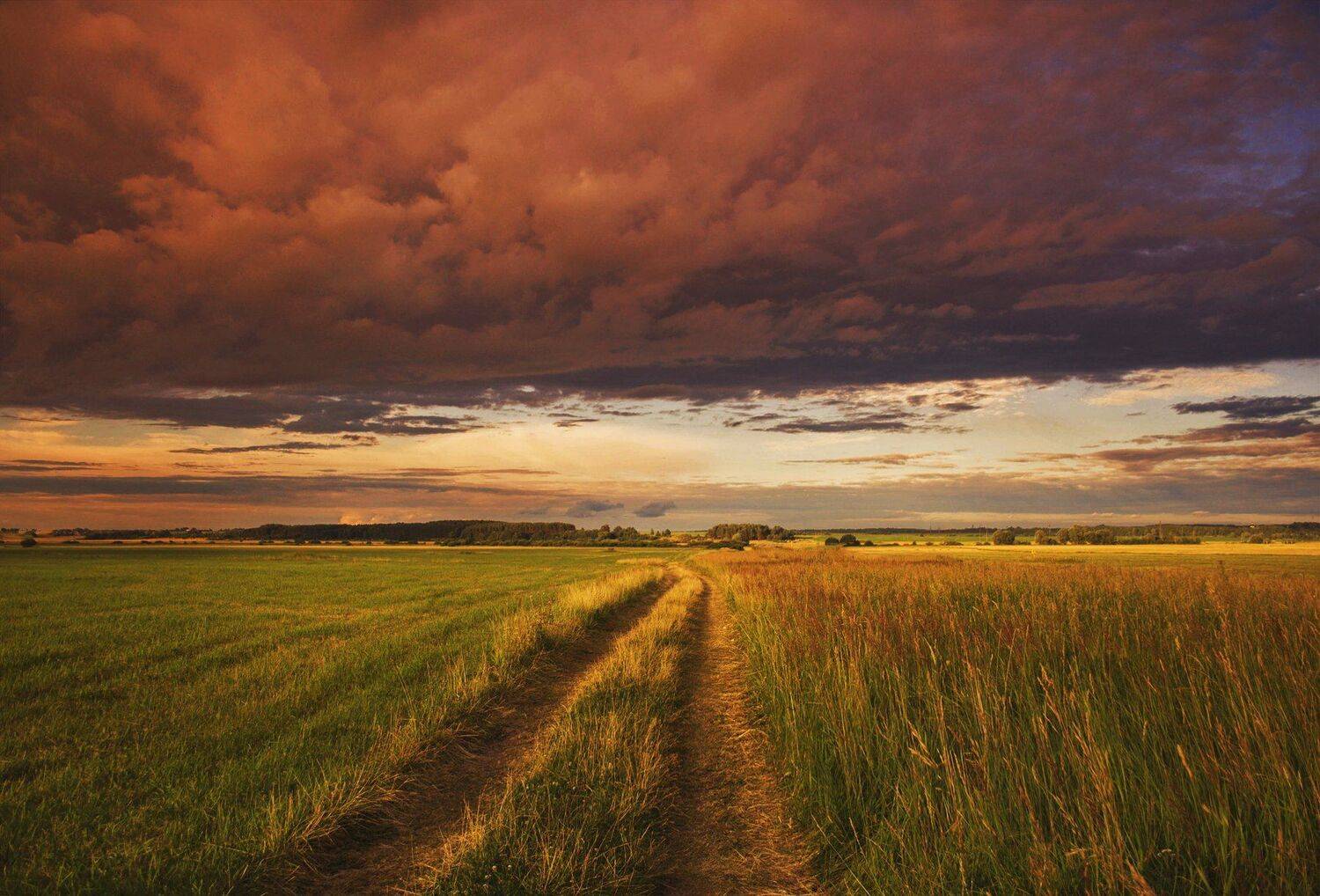 фото, природа, поле, гроза, лето, Екатерина