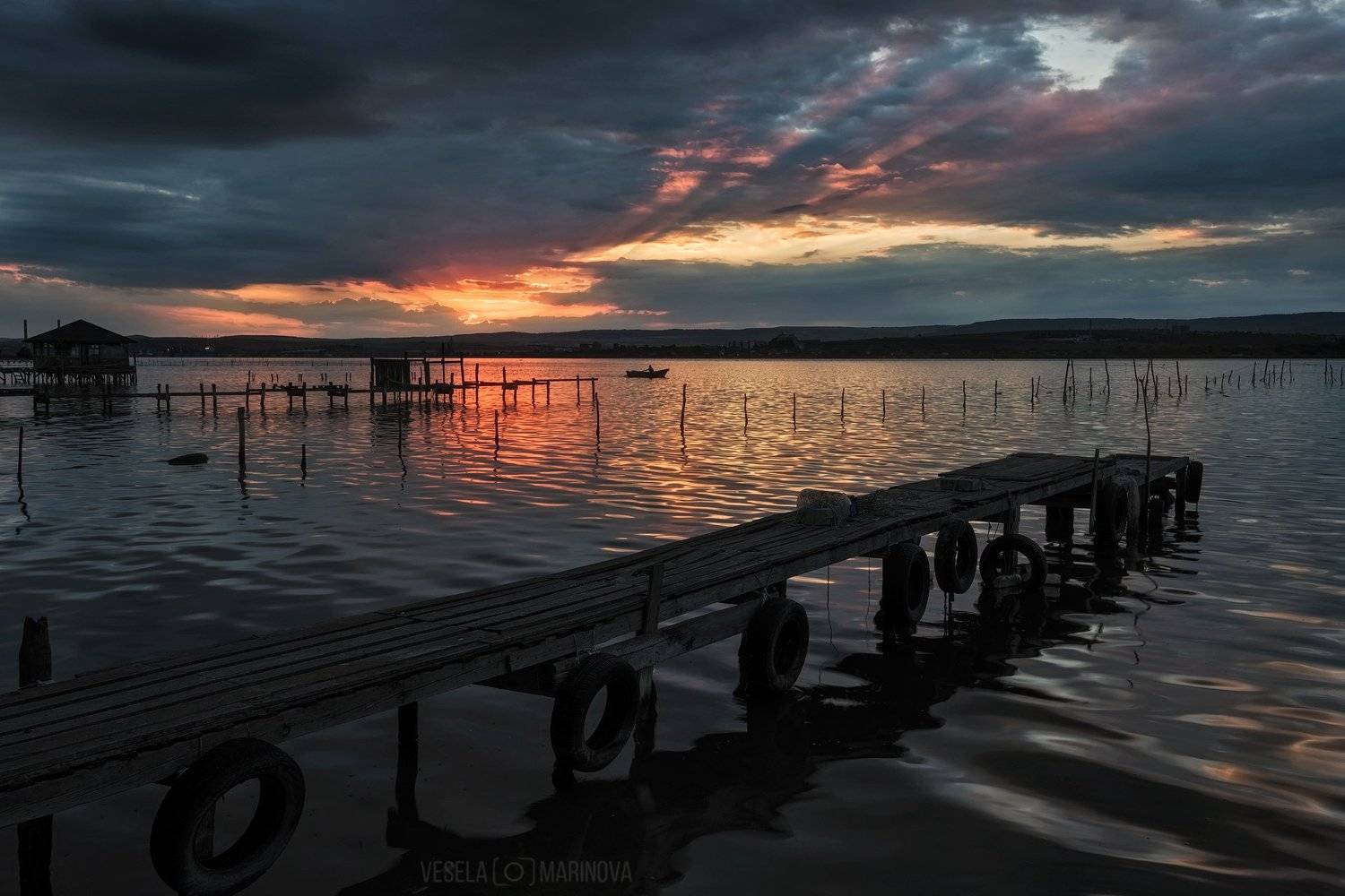 , Весела Маринова