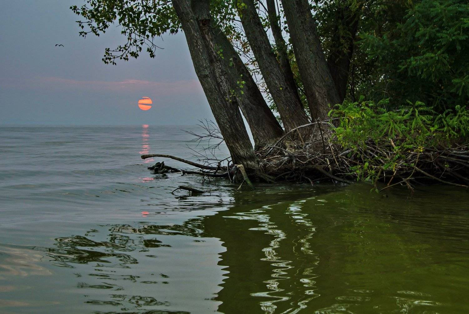 Восход, Отражения, Рассвет, Река, Солнце, Утро, Валерий Наумов
