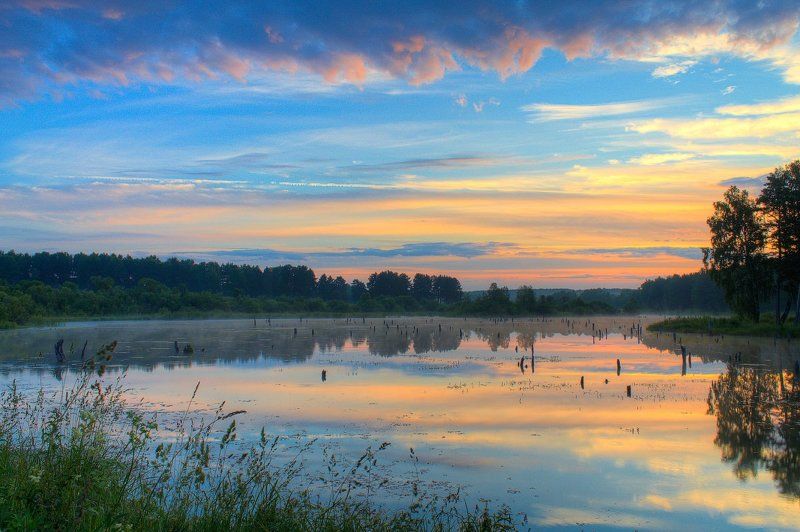 Вода, Лес, Лето, Небо, Облака, Отражение, Пейзаж, Природа, Рассвет, Трава, Утро Отражение фото превью