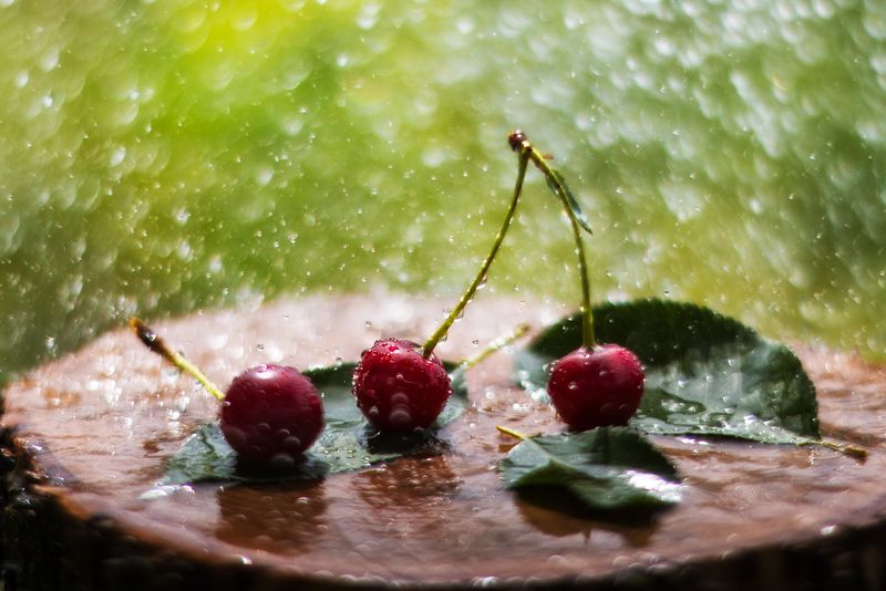 солнечный дождь фото превью