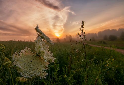 Sunrise...