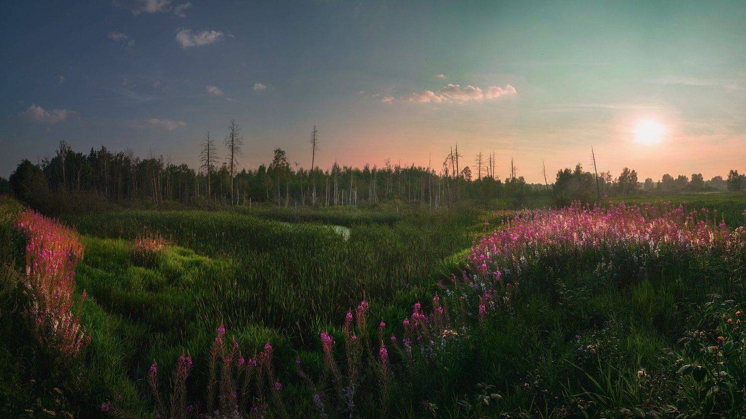 , Алексей Бордуков